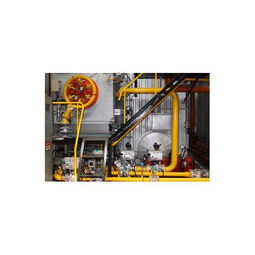 德洲機械設備產品解析 加盟前景與器材使用評測